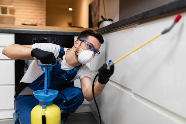 Wasp Removal Services in Thibodaux, LA
