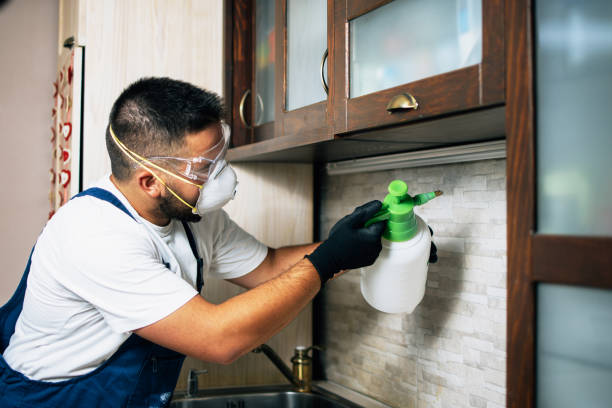 Best Residential Pest Control  in Thibodaux, LA