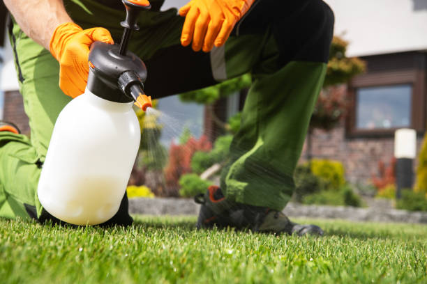 Best Termite Control Services  in Thibodaux, LA