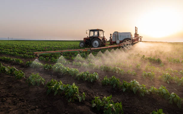 Best Pest Removal Services  in Thibodaux, LA