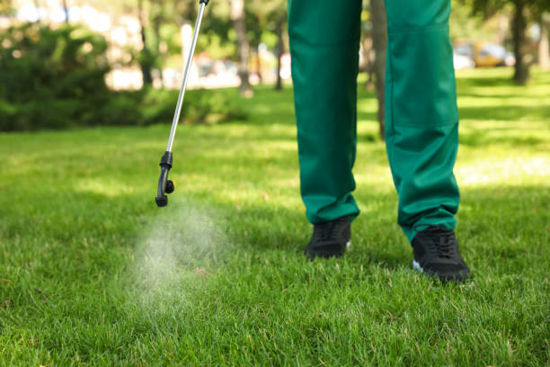 Best Affordable Pest Control Services  in Thibodaux, LA