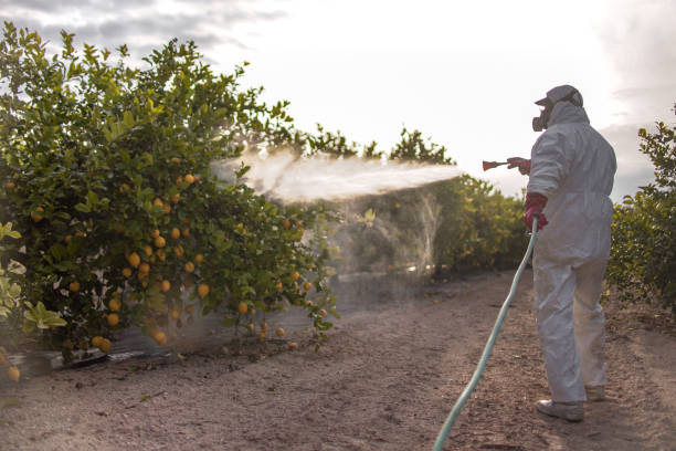 Best Cockroach Control Services  in Thibodaux, LA