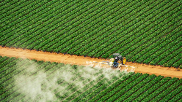 Pest Prevention Services in Thibodaux, LA