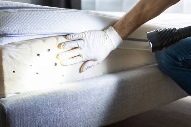 Wildlife Control Services in Thibodaux, LA